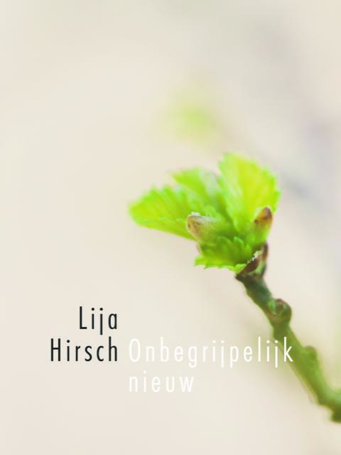 Onbegrijpelijk nieuw